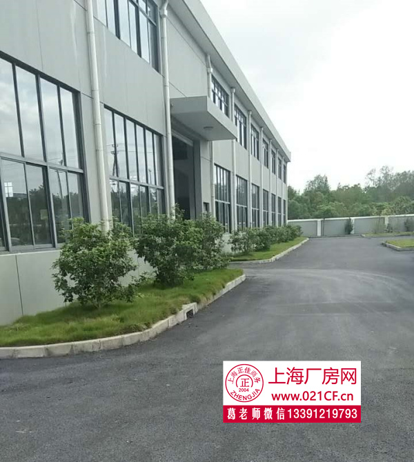 A8112 松江金山廠房倉庫出租 大小可分割出租 