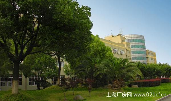 A8301 上海市奉賢區(qū)環(huán)城北路二樓 700平米廠(chǎng)房倉(cāng)庫(kù)辦公研發(fā)樓出租