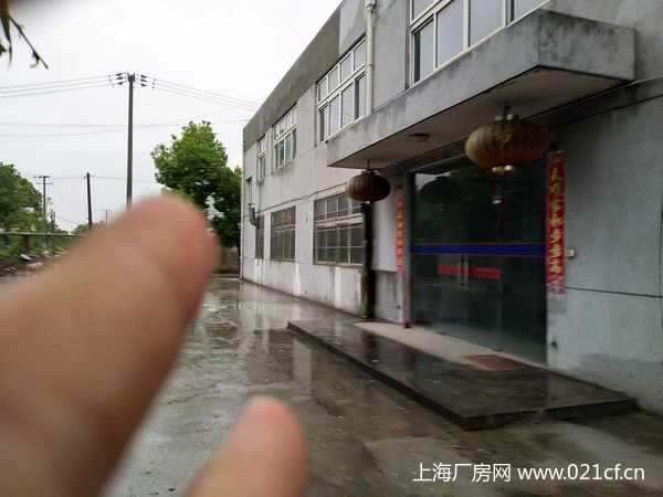 A8303 青浦區(qū)白鶴工業(yè)園區(qū)騰富路3400平方米獨門獨院廠房出租 可分割 另有6600平場地出租