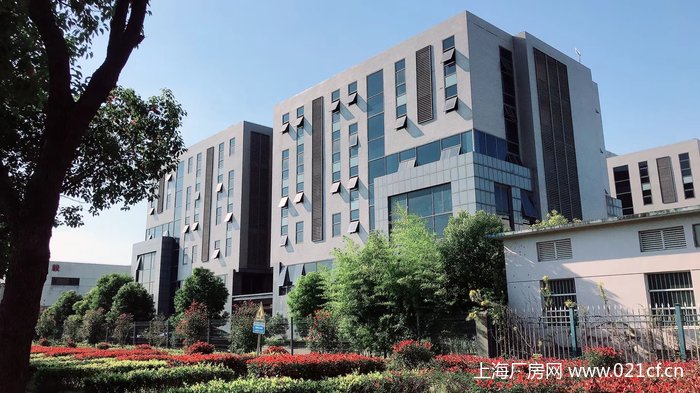 XA嘉定北開發(fā)區(qū)104板塊廠房辦公研發(fā)樓出租 適合辦公、生物科技、新材料、醫(yī)療器械、研發(fā)實(shí)驗(yàn)室、電商、展廳等 