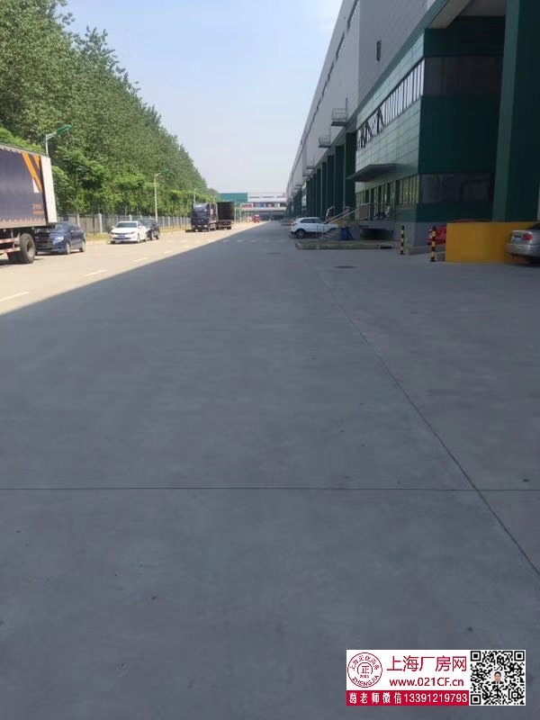 G1676 寶山月浦蘊川路高標準帶平臺物流倉庫 廠房出租 1000平起租