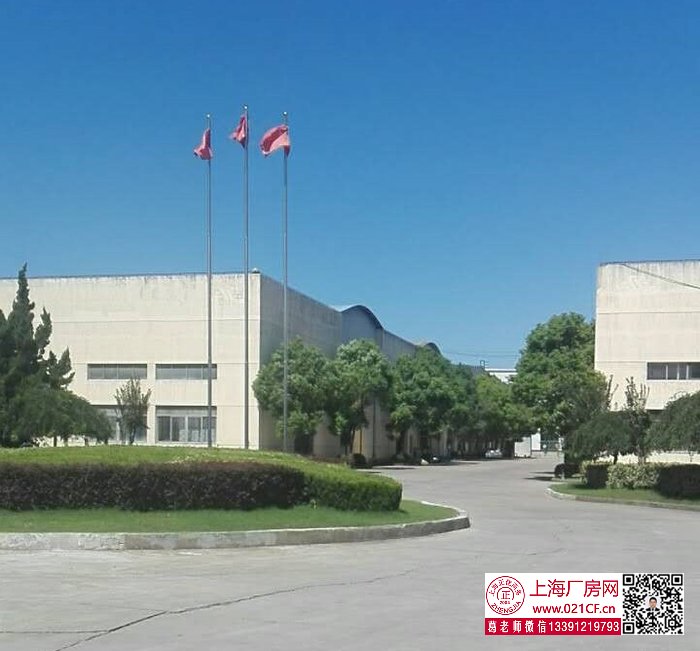 G1706 寶山區(qū)羅涇鎮(zhèn) 4333平米單層帶行車標(biāo)準(zhǔn)廠房 上海拆遷進(jìn)行中 好房機(jī)不可失