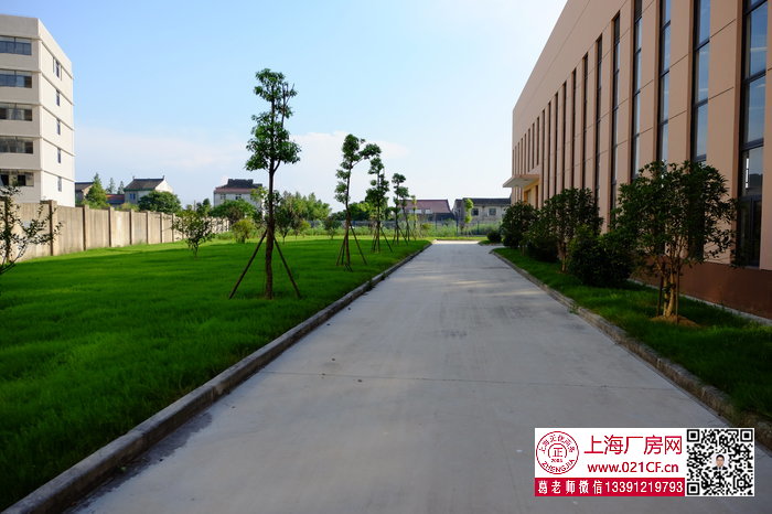 G1673 金山張堰工業(yè)園區(qū)單層多層廠房倉庫出租 可分割出租