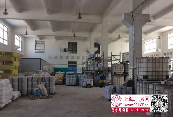 G1717浦東六灶 4800平獨(dú)棟廠房帶行車廠房倉庫出租 大房東直租 空地大
