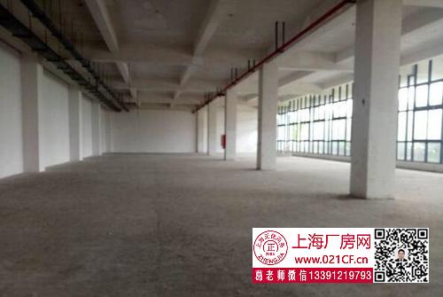 G1729 浦東 航頭鎮(zhèn) 8000平方米廠房倉庫出租 100平起租 適合倉儲(chǔ)電商 價(jià)格優(yōu)惠