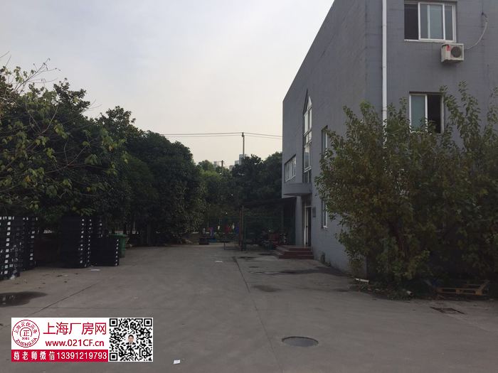 G1751 嘉定新城 陽川路 獨門獨院 一樓1600平 二樓1600平 一樓1200平 廠房倉庫出租