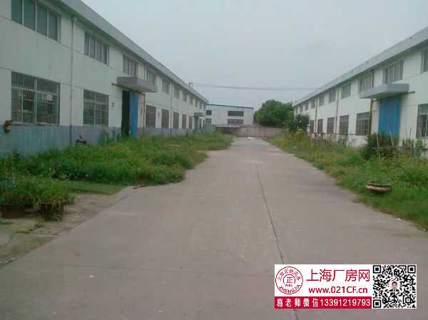 G1756 金山區(qū)漕涇鎮(zhèn)亭衛(wèi)公路單層廠房倉(cāng)庫(kù)出租 可分租 0.65元起 丙類消防 104地塊可環(huán)評(píng)