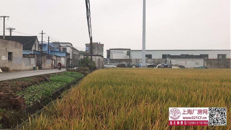 G1763 海鹽近市區(qū)有5畝工業(yè)用地帶廠房出售