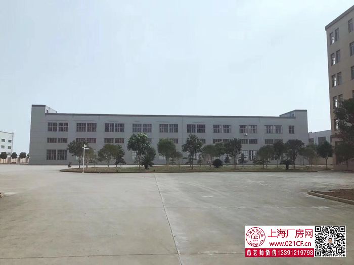 G1767 金山楓涇鎮(zhèn)建安路雙層廠房倉庫出租 1000平起租 104地塊可環(huán)評 無稅收要求