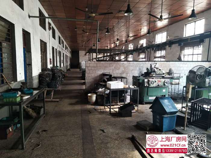 G1771 寶山 楊行鎮(zhèn) 鐵力路全單層磚混結(jié)構(gòu)三號(hào)線沿線3350平方米廠房倉(cāng)庫(kù)出租 可分割