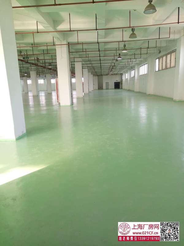 G1785上海市普陀區(qū)桃浦武威路多層物流廠房倉庫出租 100平起租 1.6元