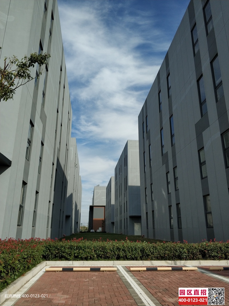 G2842 【開發(fā)商直租】松江新橋申港路3255號國家級開發(fā)區(qū)帶裝修研發(fā)廠房出租 拎包入住 610平起租 金地威新產業(yè)園