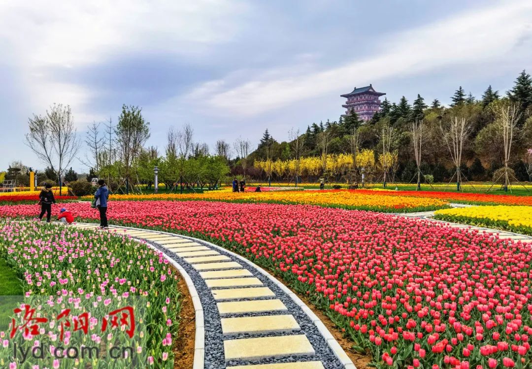 洛陽蕞新規(guī)劃出爐！涉及老城、洛龍、伊濱…