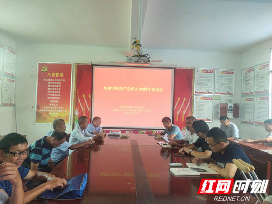 湖南工業(yè)大學(xué)鄉(xiāng)村振興工作隊開展“慶祝中國成立100周年”主題黨日活動