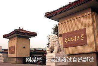 兩所農(nóng)林大學(xué)中南林業(yè)科技大學(xué)和南京林業(yè)大學(xué)