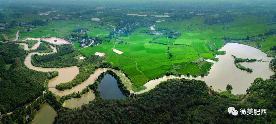 乘風(fēng)破浪的肥西之花崗篇：發(fā)力改革創(chuàng)新 駛?cè)氚l(fā)展“快車道”