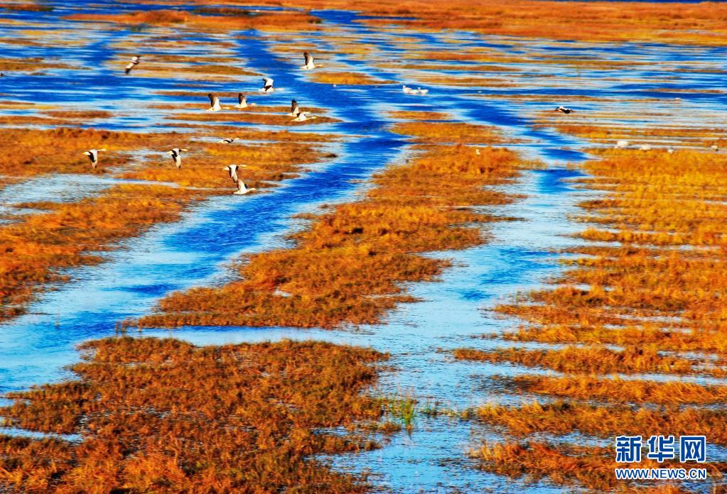 “七一”重要講話精神在基層｜黔貴大地上演“綠色逆襲”——來自國家生態(tài)文明試驗區(qū)（貴州）的調(diào)查報告