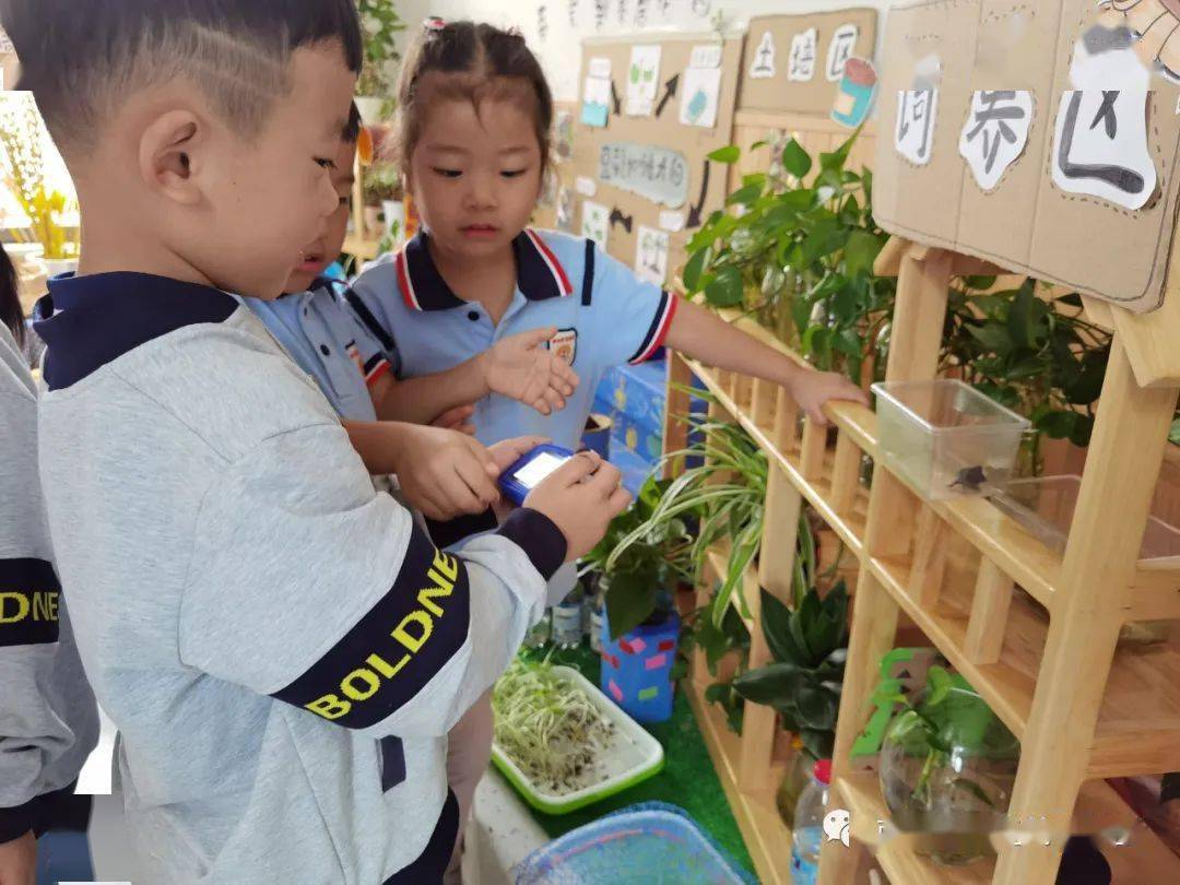 小烏龜你好！——開發(fā)區(qū)中南熙悅幼兒園班本課程敘事