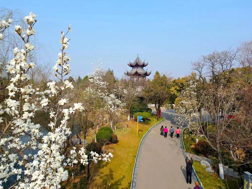 推進(jìn)產(chǎn)業(yè)結(jié)構(gòu)調(diào)整！壯士斷腕后徐州銅山能否涅槃迎新生？